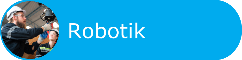 Robotik Bormens Consulting